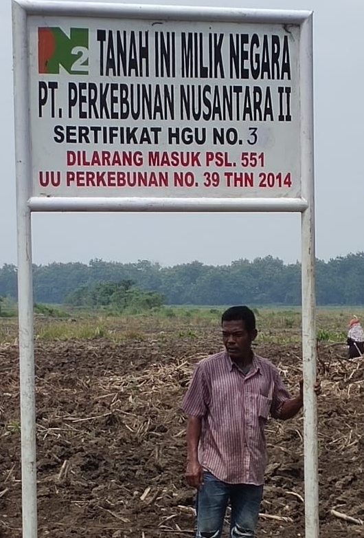 Lahan Sawit Kwala Bingai Kena Kapling, PTPN II Diminta Segera Okupasi