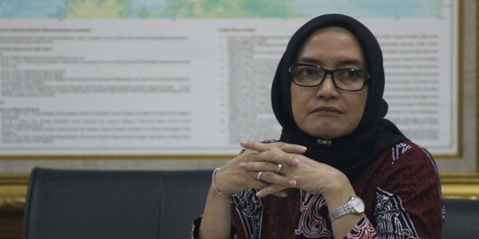 DPR Harap Evi Bisa Segera Kembali Jadi Komisioner KPU