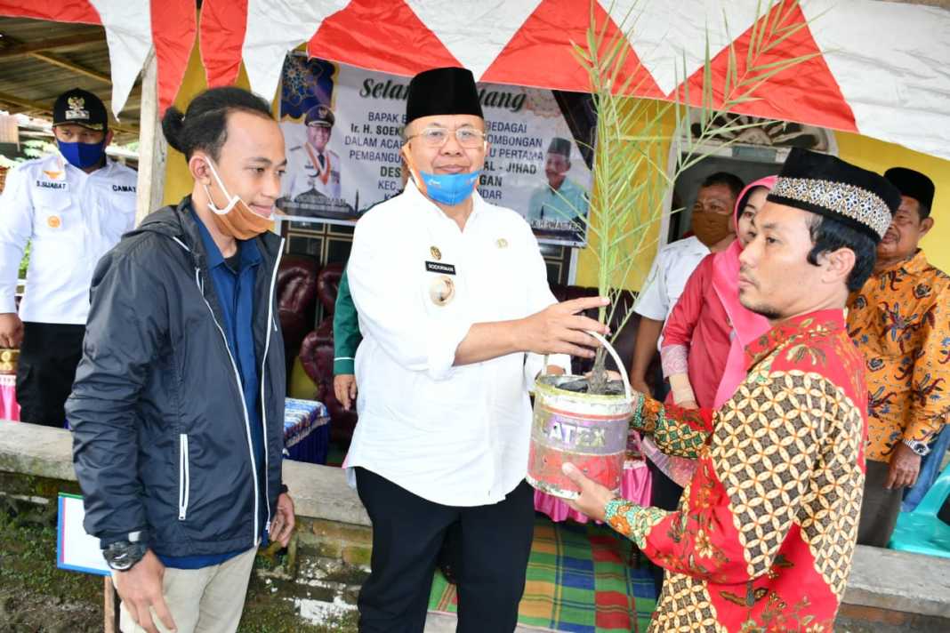 Samurai Berikan Pohon Kurma untuk Pembangunan Mushola Al - Jihad