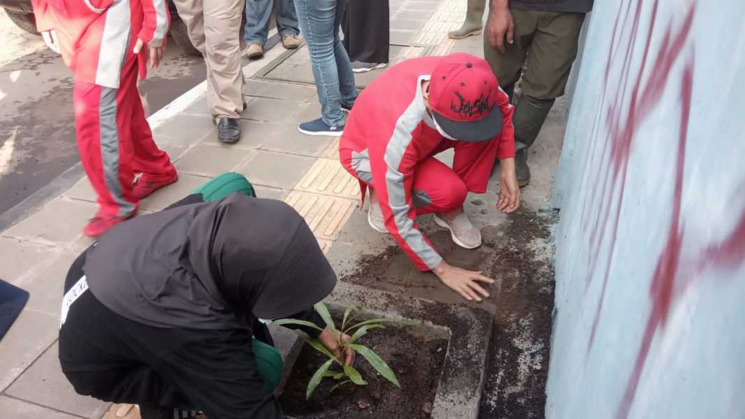 Pemko Banjar, Tanam 500 Pohon Tabebuya di Sepanjang Trotoar Jalan Kota Banjar