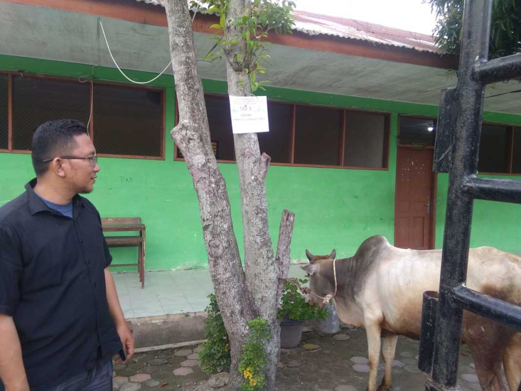 PWNU Sumut Sembelih 14 Ekor Sapi