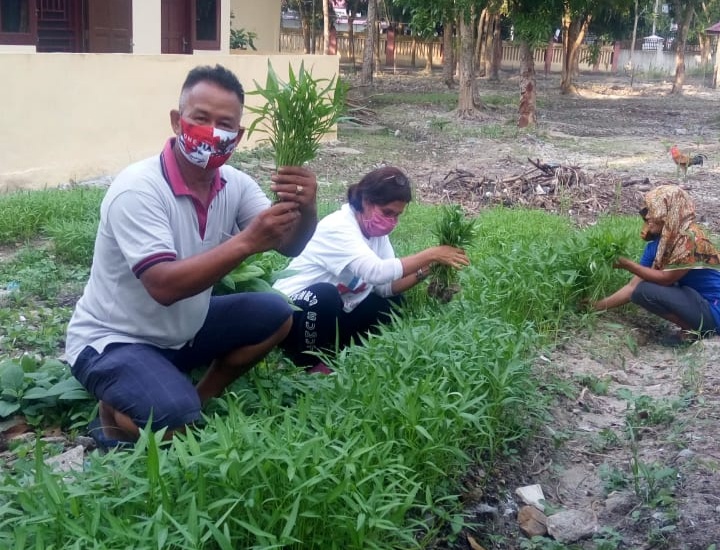 Polsek Lubuk Pakam, Panen Sayur Kangkung di Tengah Pandemi Covid-19 