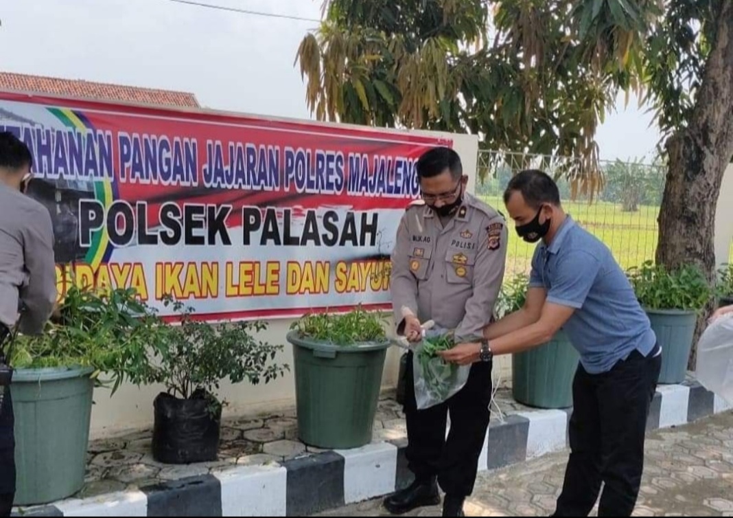 Polsek Tangguh dan Palasah, Tanam Kangkung dan Budidaya Ikan Lele