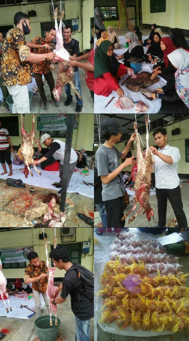 HMI Koms FEI STAI JM Tanjung Pura, Tebar Hewan Kurban