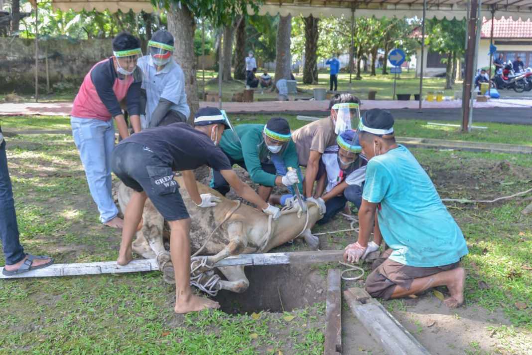 PTPN III Medan, Kumandangkan Takbir di Idul Adha 1441 H saat Kurban