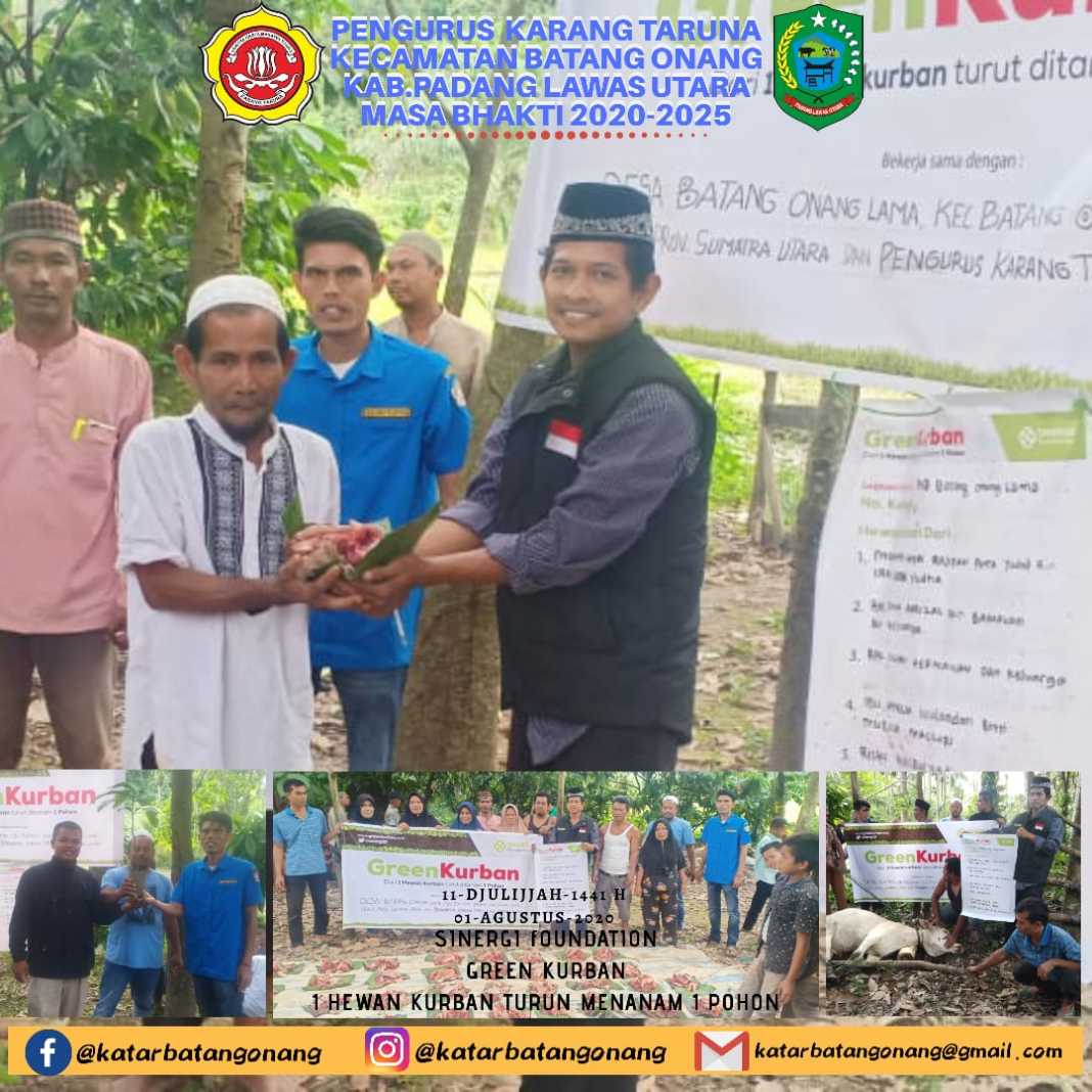 Idul Adha 1441 H, Karang Taruna Batang Onang Jadi Mitra Green Kurban