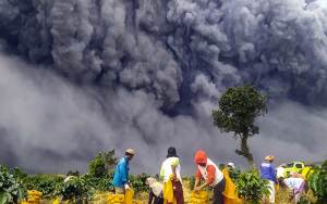 Penampakan Erupsi Gunung Sinabung Menggulung-gulung