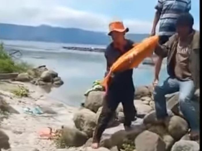 Mitos Bencana Dibalik Legenda Ikan Mas Danau Toba