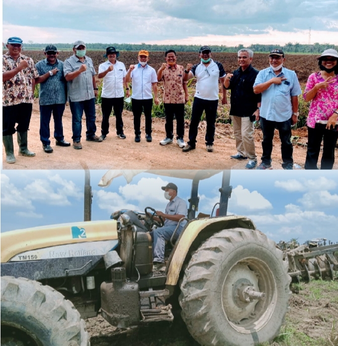 Produksi Gula Nasional, Kebun Kwala Bingei PTPN 2 Gelar Pembersihan Lahan Guna Tanam Tebu