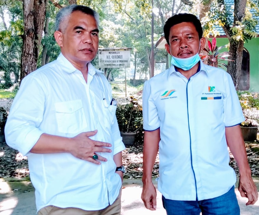 PTPN2 Kebun Kwala Bingei, Kembali Menanam Tebu di Areal HGU