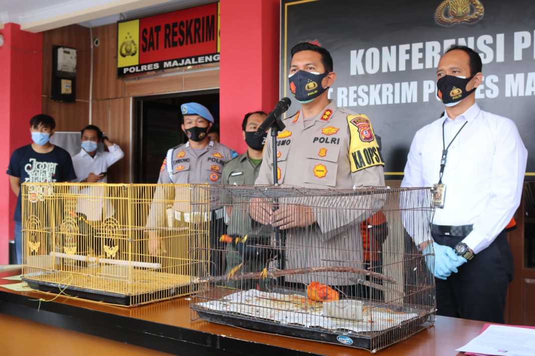 Polres Majalengka, Tangkap Pejual Satwa Lindung