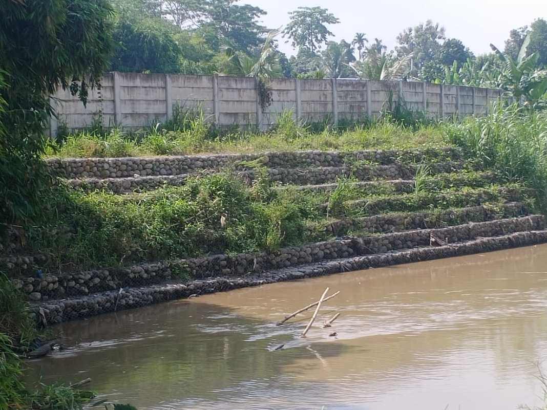 Taman Edukasi Buah Cakra, Dugaan keterlibatan Pengusaha Pekanbaru