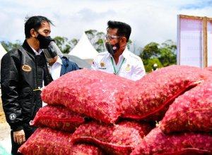 Jokowi Ingin Food Estate di Sumut dan Kalteng Jadi Contoh Wilayah Lain