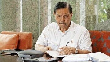 Pengakuan Luhut Jadi Pencetus Omnibus Law