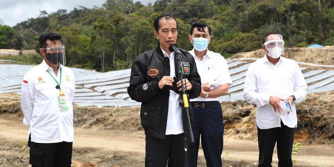 Jokowi Ingin Food Estate di Sumut dan Kalteng Jadi Contoh Wilayah Lain