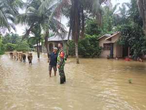 Banjir di Batang Serangan Langkat, Ribuan Rumah Terendam