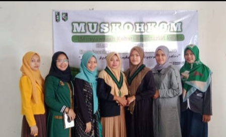 HMI Insan Cita