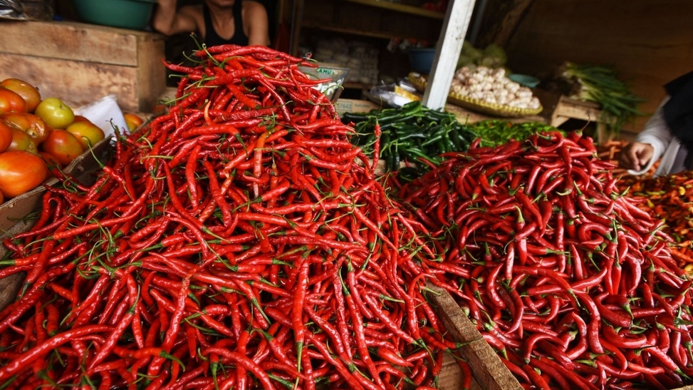 Beredar Cabai yang Dicat Merah