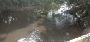 Sungai Aek Kundur Tercemar, Diduga PT LTS Buang Limbah di Siang Bolong (2)