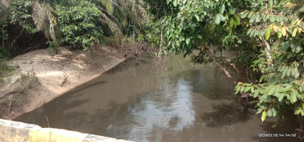 Sungai Aek Kundur Tercemar, Diduga PT LTS Buang Limbah di Siang Bolong