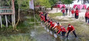 Penanaman Mangrove di Serdang Bedagai Terkait HUT ke-48 PDI Perjuangan
