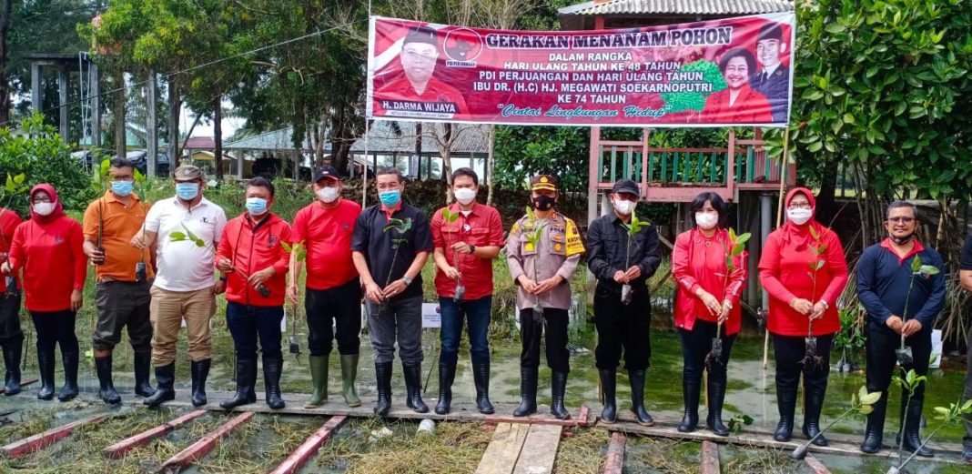 Penanaman Mangrove di Serdang Bedagai Terkait HUT ke-48 PDI Perjuangan