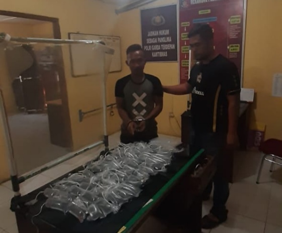 Pencuri Ikan Cupang 