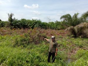 Dua Petani Perhutanan Sosial