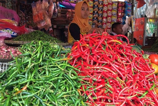 Harga Cabai