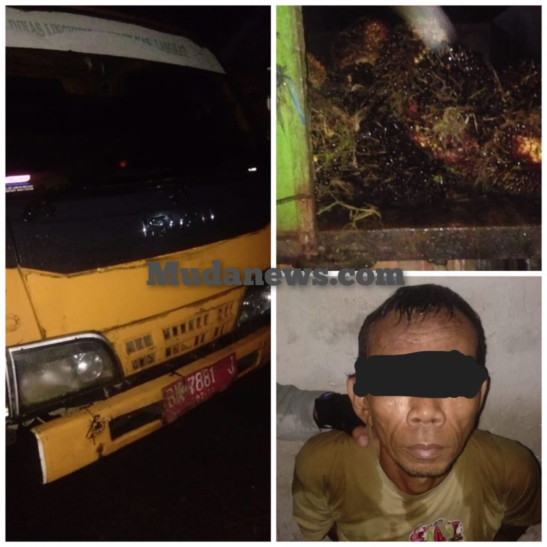 Bawa Sawit Curian PTPN II, Truck Sampah Pemkab Langkat Diamankan