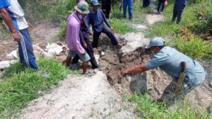 Kelompok Tani Nipah Musnahkan Sawit Ilegal