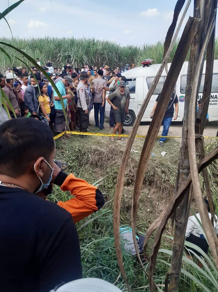 Pasutri Penjual Sayur Tewas di Kebun Tebu, Diduga Korban Begal