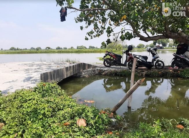 Viral Jembatan 4x4 meter