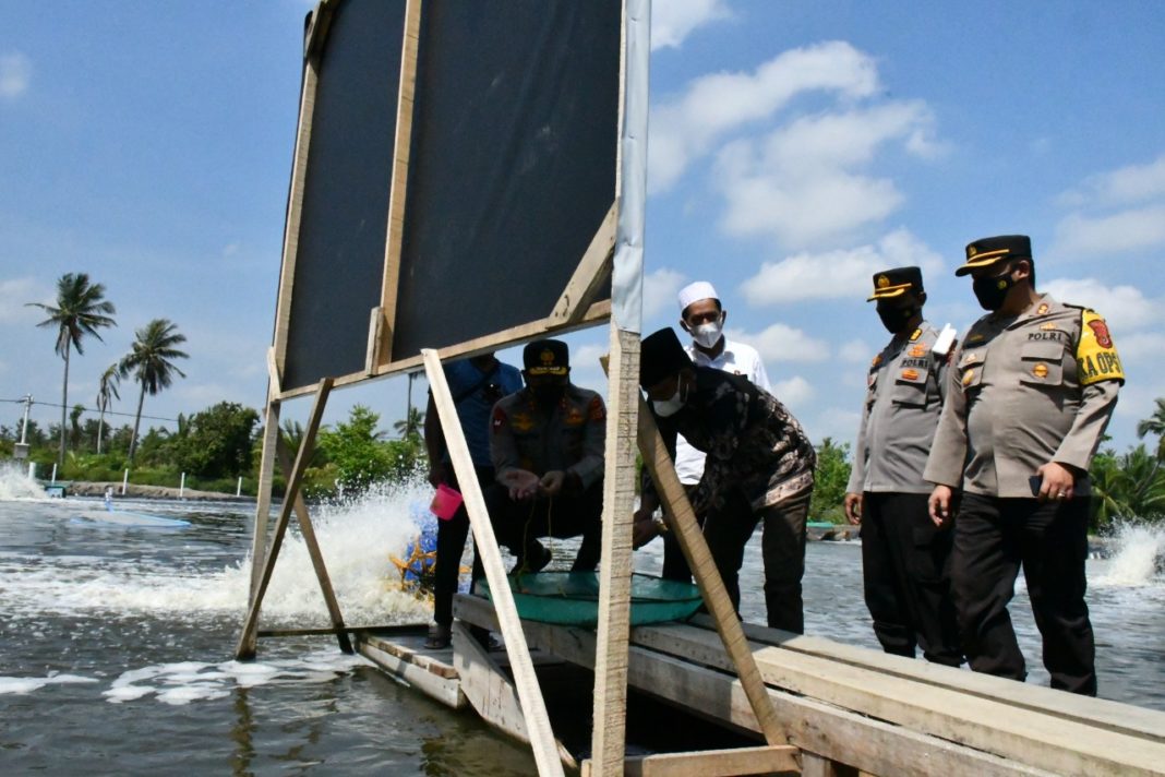 Lokasi Shrimp Estate