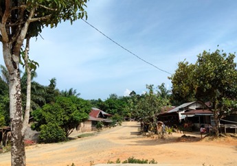 Barak Induk