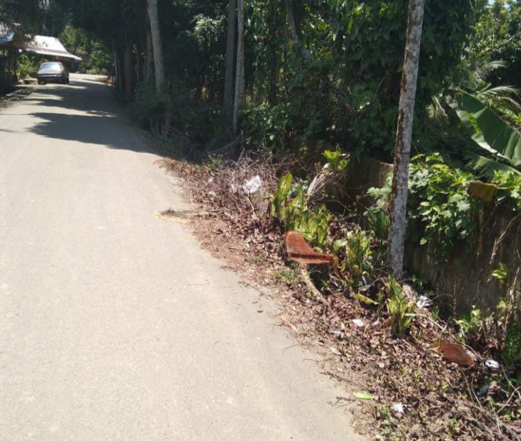 Aparat Desa Nambiki Langkat, Pohon Mohoni Ditumbang