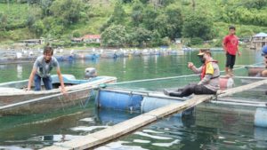 Kapoldasu, Gubsu dan Pangdam IBB Pimpin Penataan Keramba Jaring Apung di Danau Toba