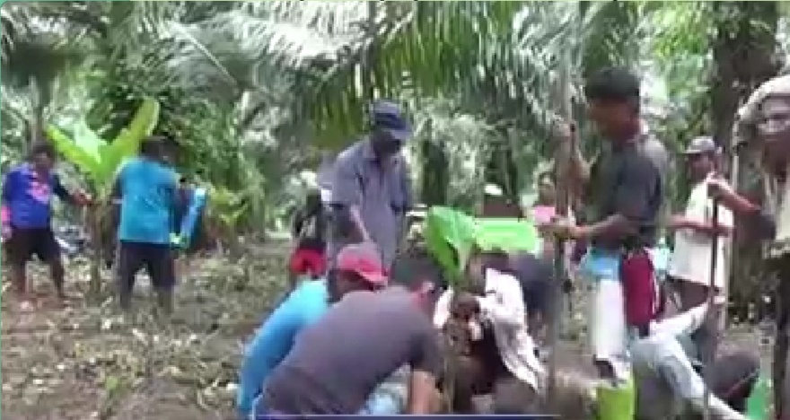 PTPN IV Bah Jambi