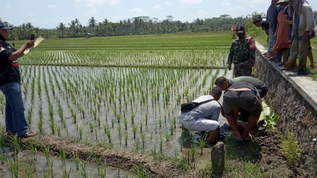 Warga Ciamis Ditemukan Meninggal Dunia