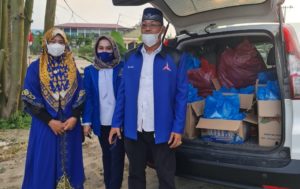 Demokrat Batu Bara