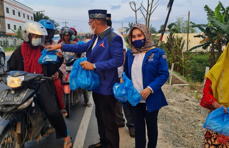 Demokrat Batu Bara