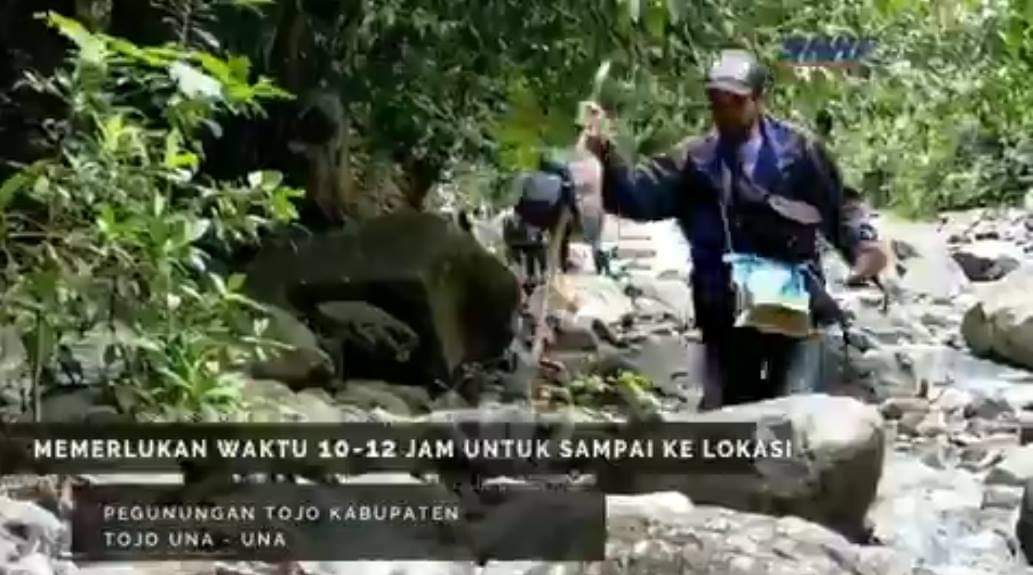 Jokowi Jangan Ikut Ributin Palestina