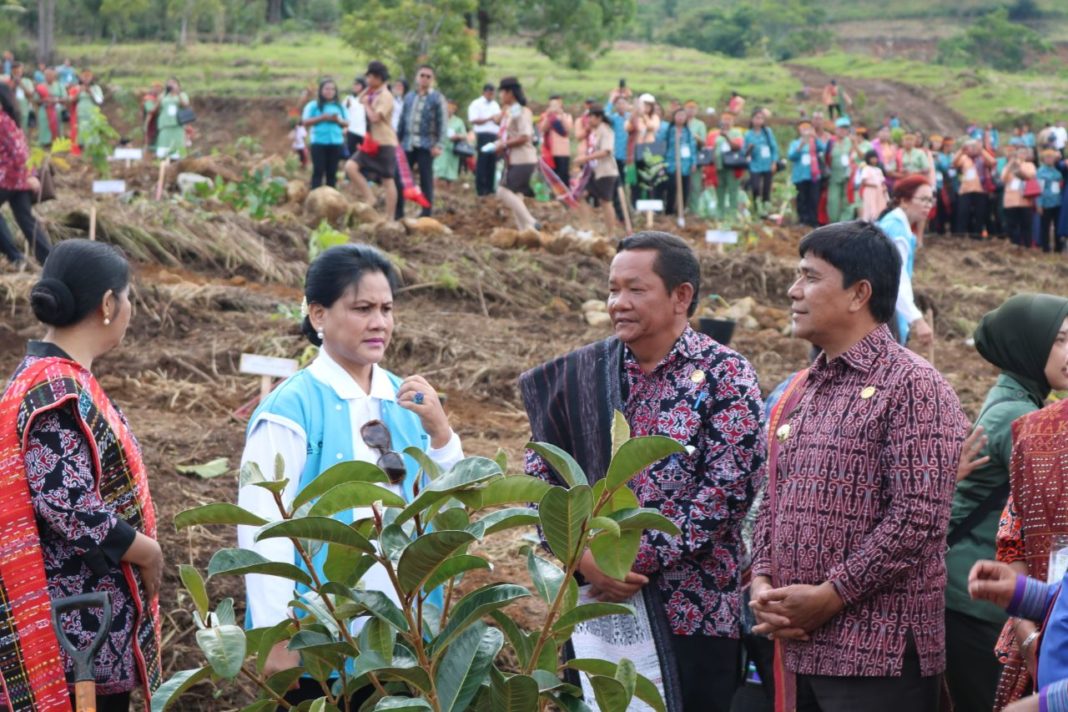 Staf Khusus Bupati Samosir