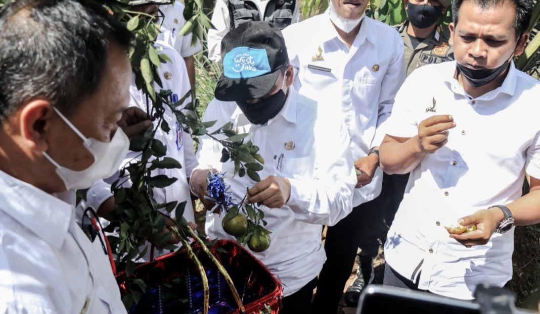 Wakil Bupati Ciamis