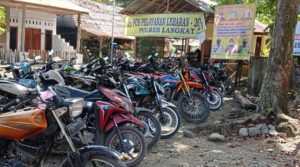 Wisatawan ke Tangkahan