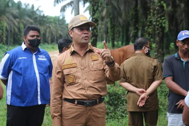 Tinjau Peternakan Sapi Kelompok Sinar Maju Jaya Kamang Baru, Wabup Sijunjung Sampaikan Ini