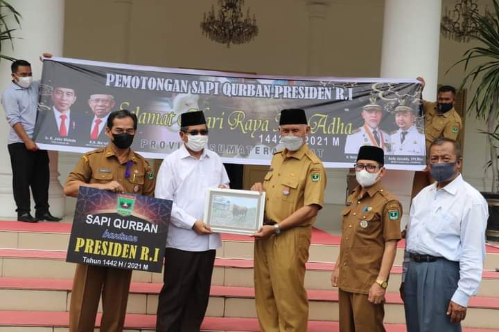 Sapi Qurban Jokowi Diserahkan Gubernur ke Pengurus Masjid Raya Sumbar