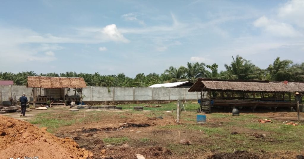 Kelompok Tani Berkat Tani 