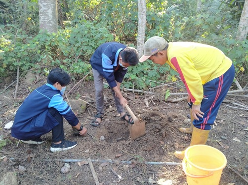 Tanam Beragam Pohon Buah