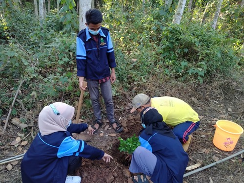Tanam Beragam Pohon Buah